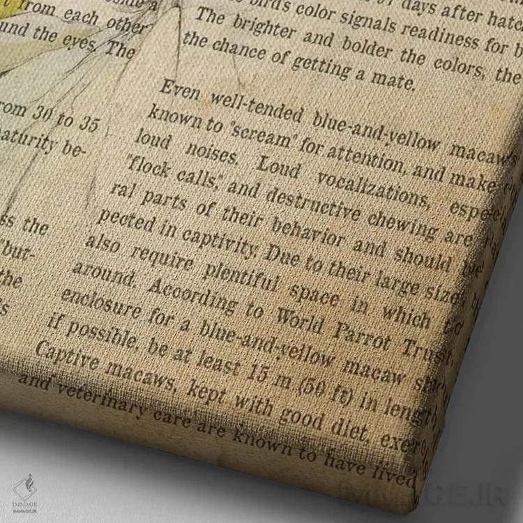 تابلو چاپ وینتیج ماکائو آبی و زرد اثر پیکسل کهنه (استودیو/نام هنری) - نمای نزدیک بافت بوم