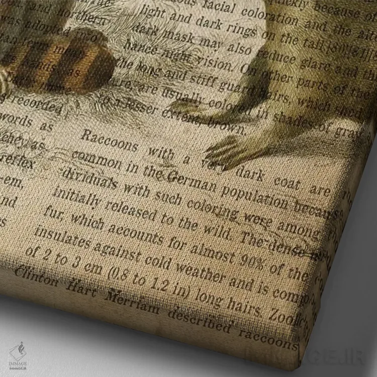 تابلو چاپ وینتیج راکون (شبیه خرس کوچولو) اثر پیکسل کهنه (استودیو/نام هنری) - نمای نزدیک بافت بوم