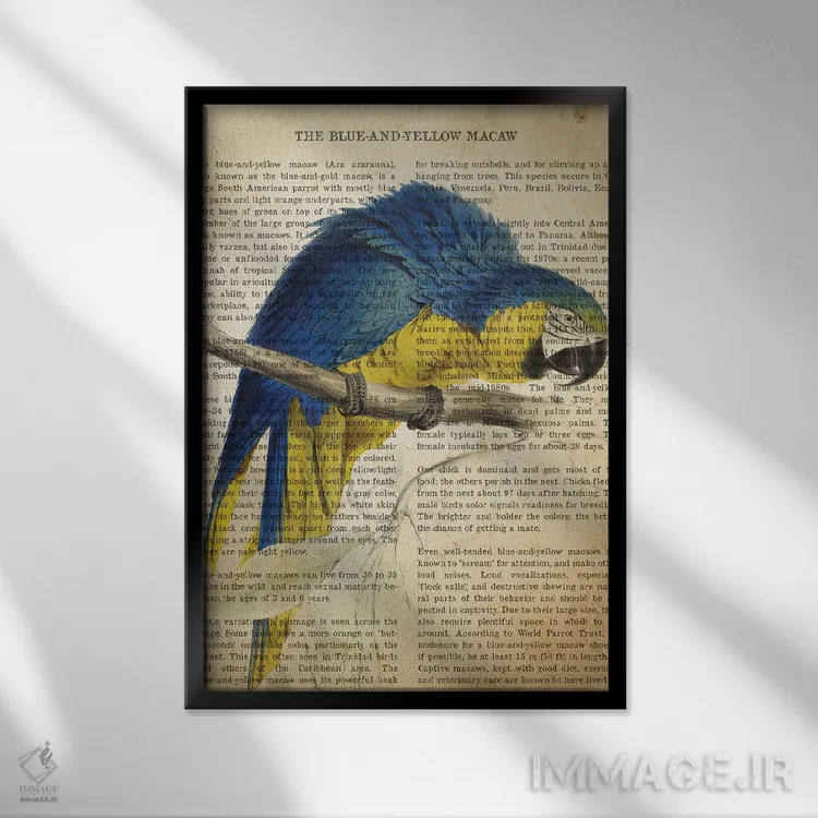 تابلو چاپ وینتیج ماکائو آبی و زرد اثر پیکسل کهنه (استودیو/نام هنری) - نمای قابدار مشکی