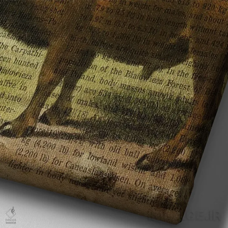 تابلو چاپ وینتیج گاومیش اروپایی اثر پیکسل کهنه (استودیو/نام هنری) - نمای نزدیک بافت بوم