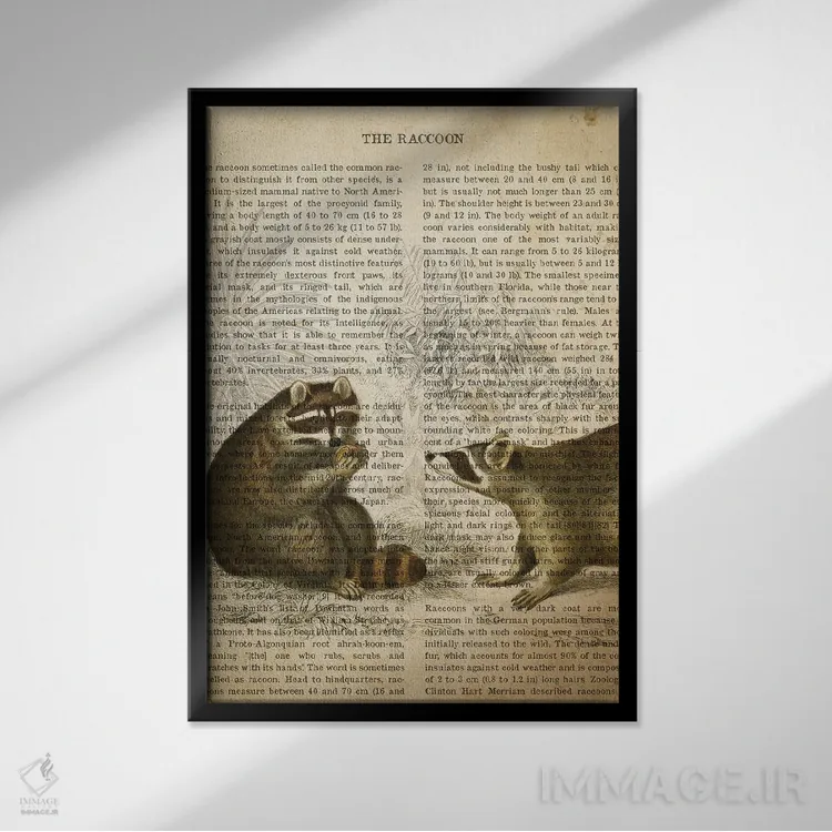 تابلو چاپ وینتیج راکون (شبیه خرس کوچولو) اثر پیکسل کهنه (استودیو/نام هنری) - نمای قابدار مشکی