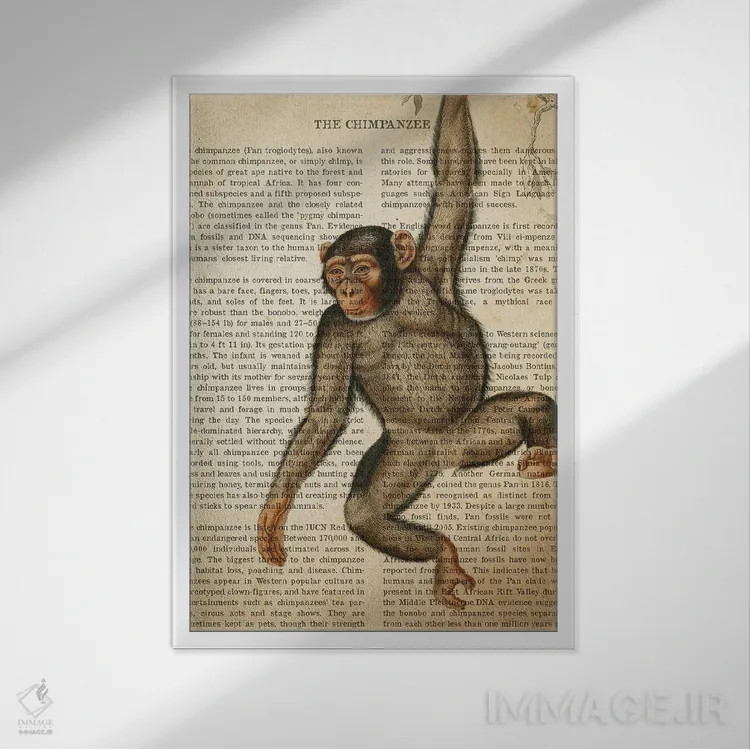 تابلو چاپ وینتیج شامپانزه اثر پیکسل کهنه (استودیو/نام هنری) - نمای قابدار سفید