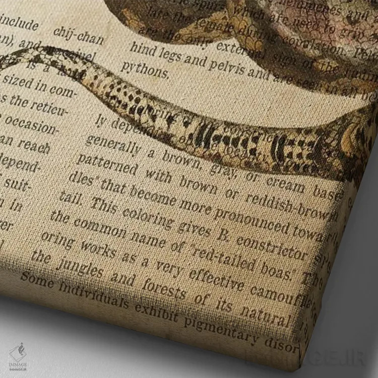 تابلو چاپ وینتیج مار بوآ کُنستریکتر اثر پیکسل کهنه (استودیو/نام هنری) - نمای نزدیک بافت بوم