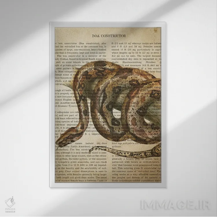 تابلو چاپ وینتیج مار بوآ کُنستریکتر اثر پیکسل کهنه (استودیو/نام هنری) - نمای قابدار سفید