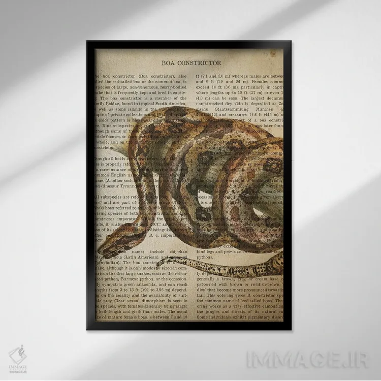 تابلو چاپ وینتیج مار بوآ کُنستریکتر اثر پیکسل کهنه (استودیو/نام هنری) - نمای قابدار مشکی