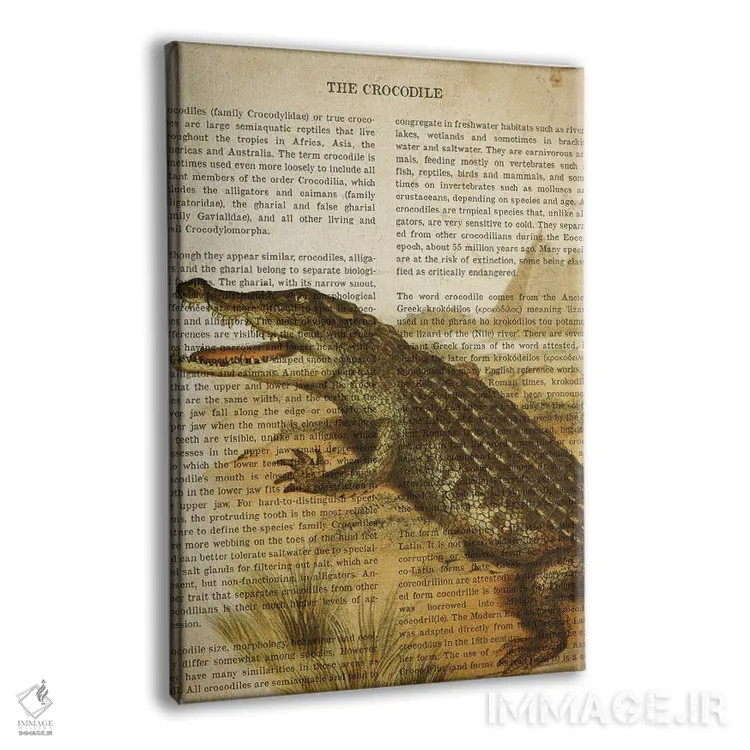 تابلو چاپ وینتیج تمساح اثر پیکسل کهنه (استودیو/نام هنری) - نمای پرسپکتیو محصول