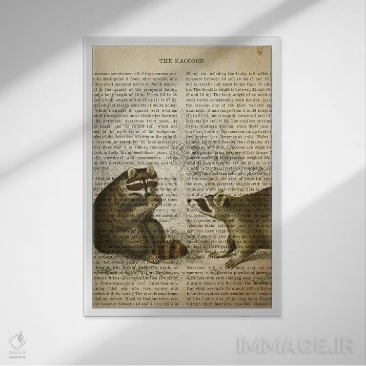 تابلو چاپ وینتیج راکون (شبیه خرس کوچولو) اثر پیکسل کهنه (استودیو/نام هنری) - نمای قابدار سفید