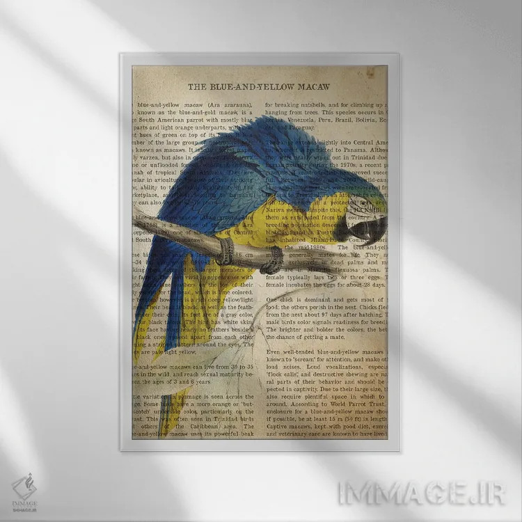 تابلو چاپ وینتیج ماکائو آبی و زرد اثر پیکسل کهنه (استودیو/نام هنری) - نمای قابدار سفید