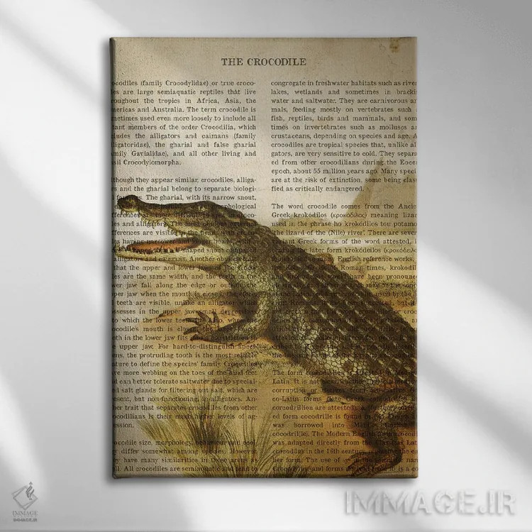 تابلو چاپ وینتیج تمساح اثر پیکسل کهنه (استودیو/نام هنری) - نمای روبهرو روی دیوار