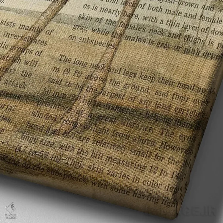 تابلو چاپ وینتیج شترمرغ معمولی اثر پیکسل کهنه (استودیو/نام هنری) - نمای نزدیک بافت بوم