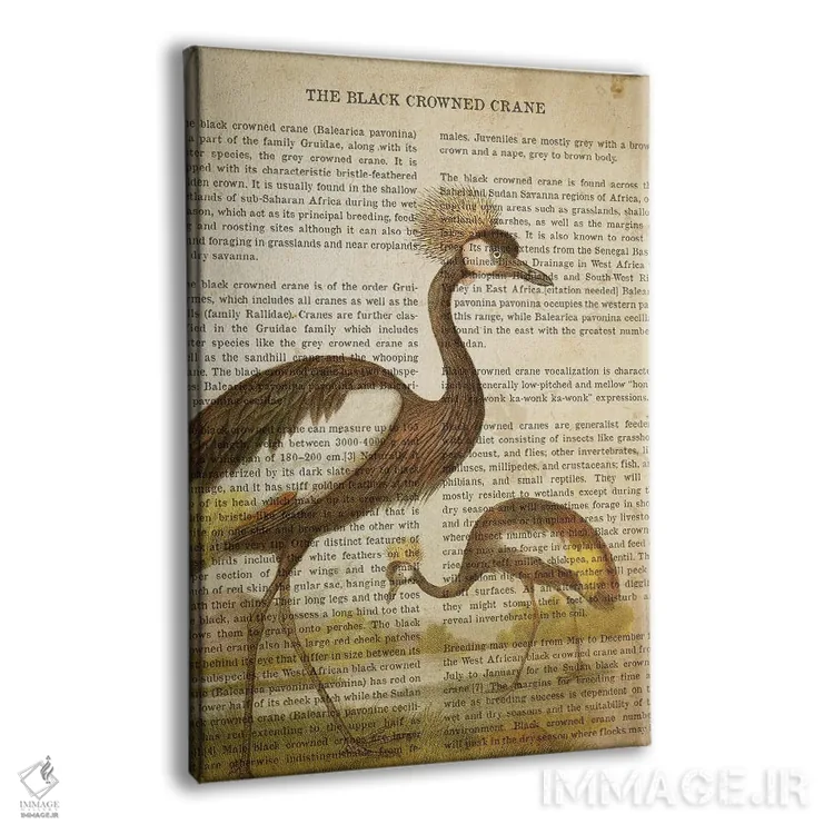 تابلو چاپ وینتیج درنای تاجسیاه اثر پیکسل کهنه (استودیو/نام هنری) - نمای پرسپکتیو محصول