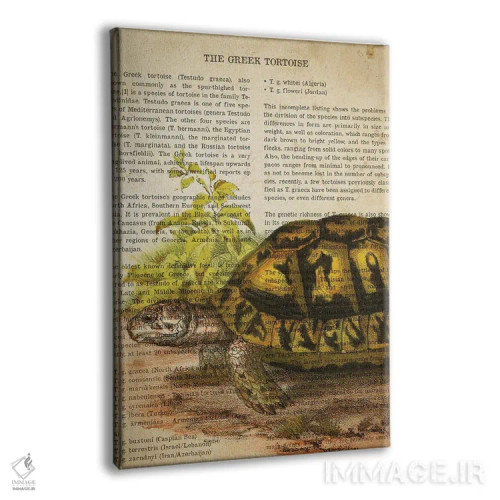 تابلو چاپ وینتیج لاکپشت یونانی اثر پیکسل کهنه (استودیو/نام هنری) - نمای پرسپکتیو محصول