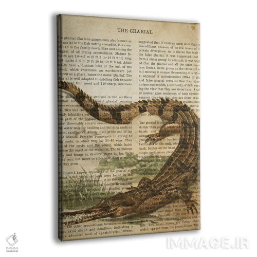 تابلو چاپ وینتیج گاویال (نوعی تمساح) اثر پیکسل کهنه (استودیو/نام هنری) - نمای پرسپکتیو محصول