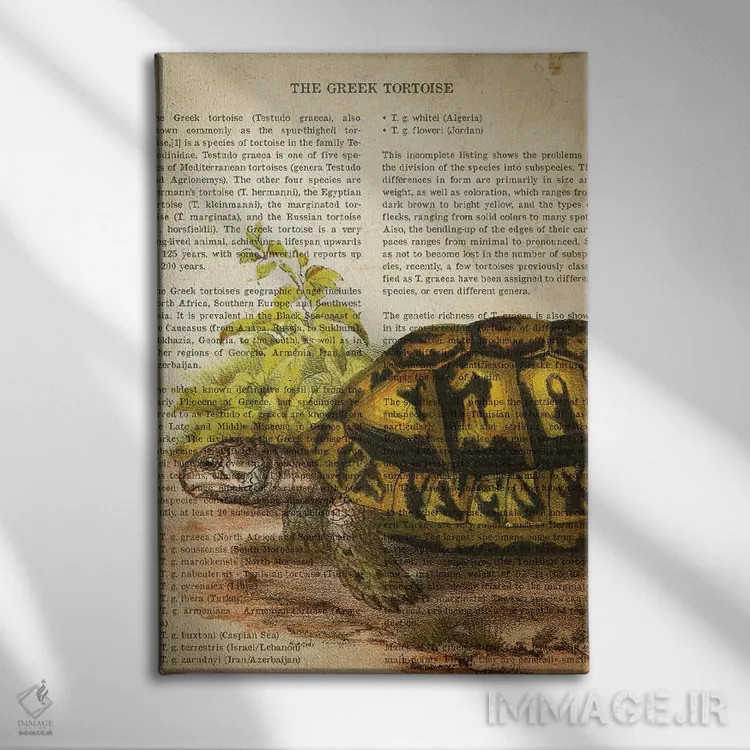 تابلو چاپ وینتیج لاکپشت یونانی اثر پیکسل کهنه (استودیو/نام هنری) - نمای روبهرو روی دیوار