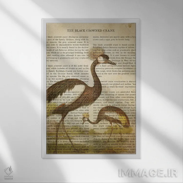 تابلو چاپ وینتیج درنای تاجسیاه اثر پیکسل کهنه (استودیو/نام هنری) - نمای قابدار سفید