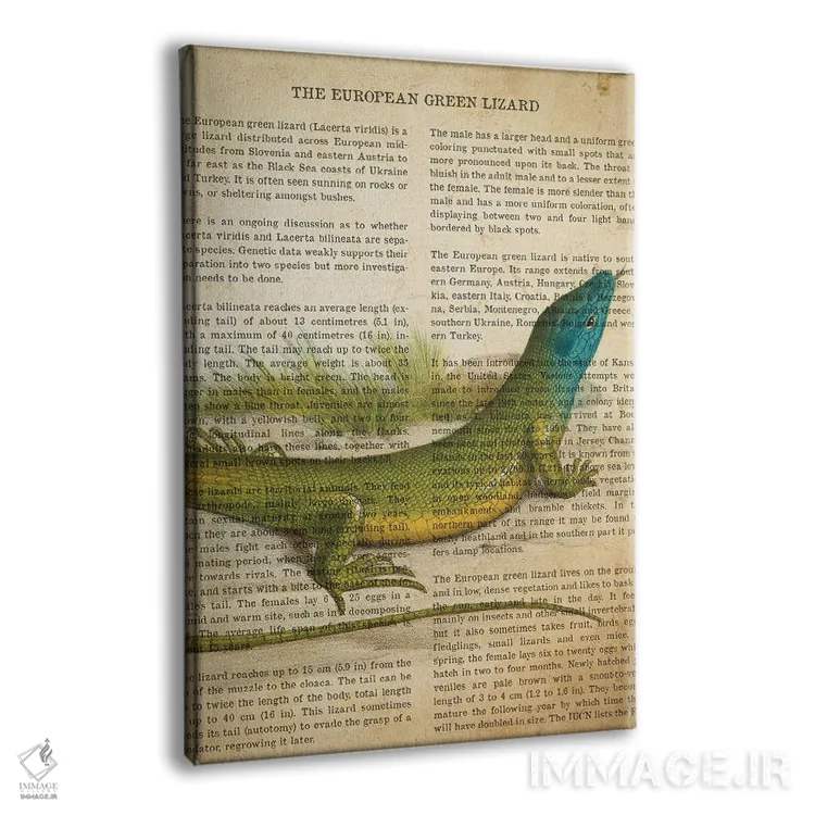 تابلو چاپ وینتیج مارمولک سبز اروپایی اثر پیکسل کهنه (استودیو/نام هنری) - نمای پرسپکتیو محصول