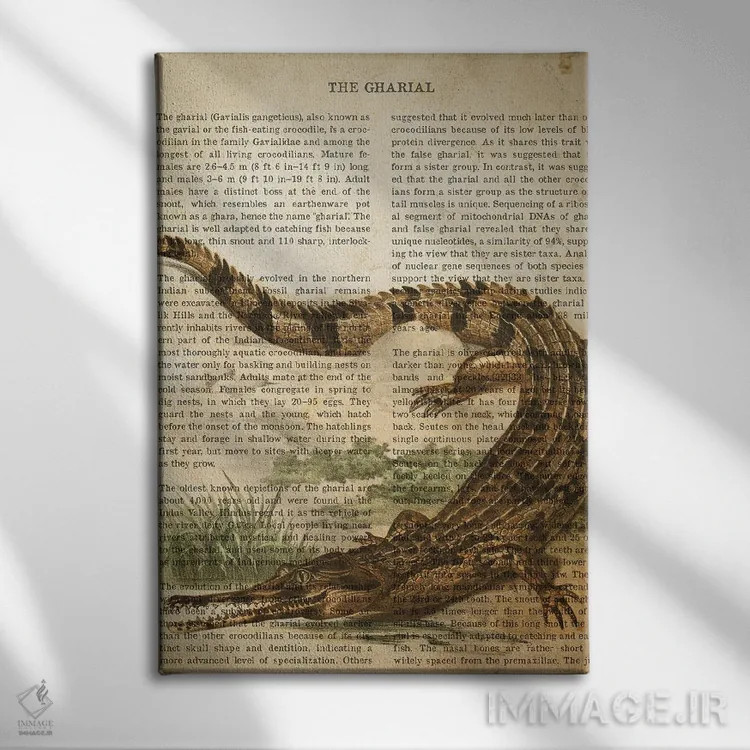 تابلو چاپ وینتیج گاویال (نوعی تمساح) اثر پیکسل کهنه (استودیو/نام هنری) - نمای روبهرو روی دیوار