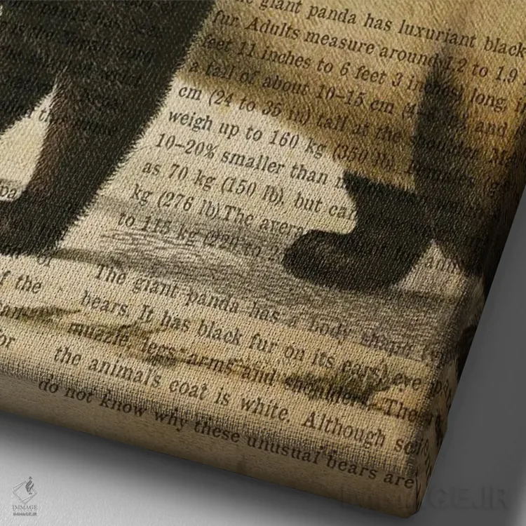 تابلو چاپ وینتیج پاندا غولپیکر اثر پیکسل کهنه (استودیو/نام هنری) - نمای نزدیک بافت بوم