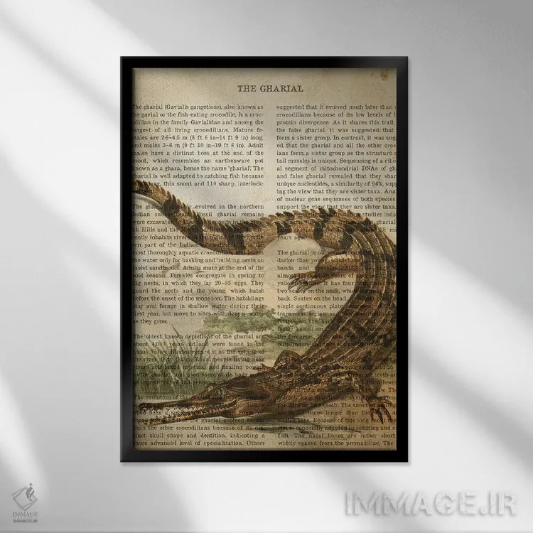 تابلو چاپ وینتیج گاویال (نوعی تمساح) اثر پیکسل کهنه (استودیو/نام هنری) - نمای قابدار مشکی