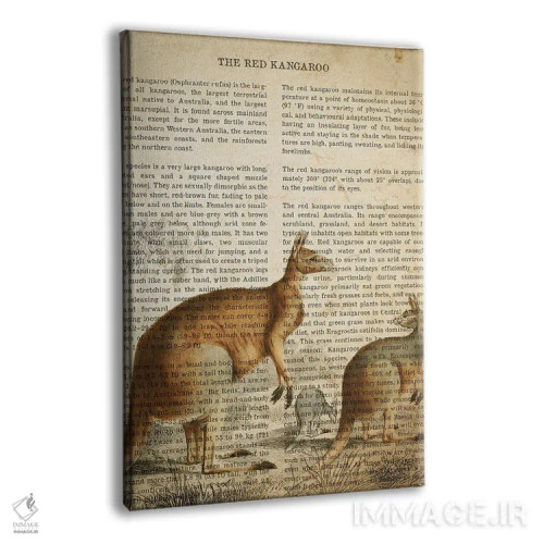 تابلو چاپ وینتیج کانگورو اثر پیکسل کهنه (استودیو/نام هنری) - نمای پرسپکتیو محصول