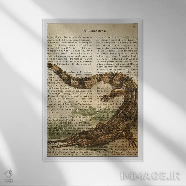 تابلو چاپ وینتیج گاویال (نوعی تمساح) اثر پیکسل کهنه (استودیو/نام هنری) - نمای قابدار سفید