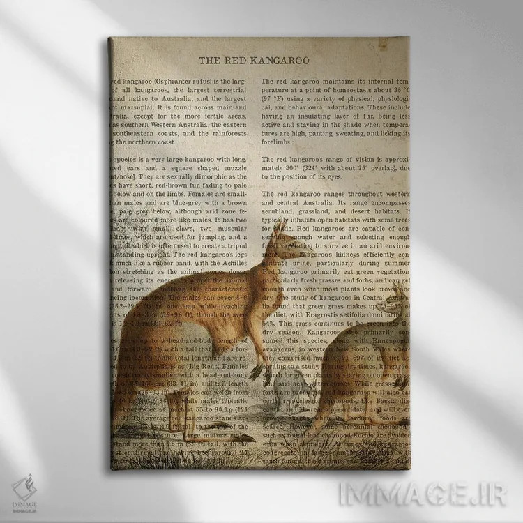 تابلو چاپ وینتیج کانگورو اثر پیکسل کهنه (استودیو/نام هنری) - نمای روبهرو روی دیوار