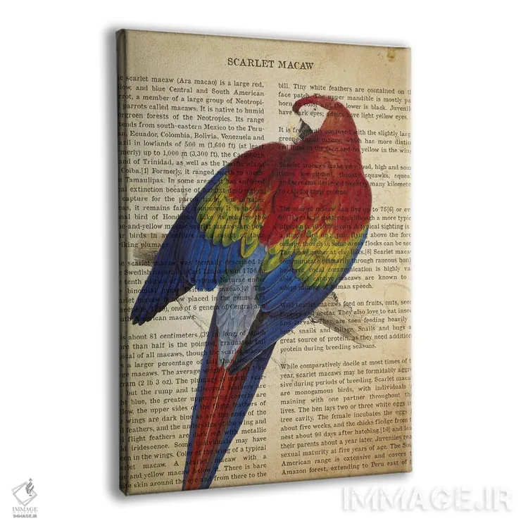 تابلو چاپ وینتیج ماکائوی اسکارلت (سرخرنگ) اثر پیکسل کهنه (استودیو/نام هنری) - نمای پرسپکتیو محصول