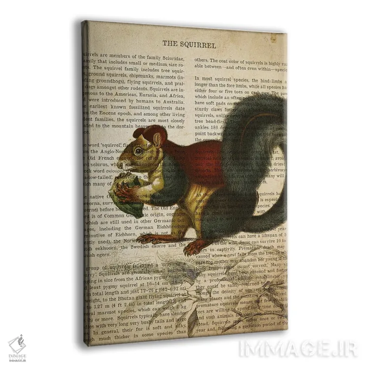 تابلو چاپ وینتیج سنجاب اثر پیکسل کهنه (استودیو/نام هنری) - نمای پرسپکتیو محصول