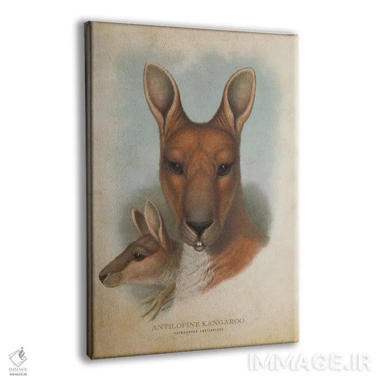 تابلو کانگوروی آنتیلوپ شکل (چاپ وینتیج) اثر پیکسل کهنه (استودیو/نام هنری) - نمای پرسپکتیو محصول