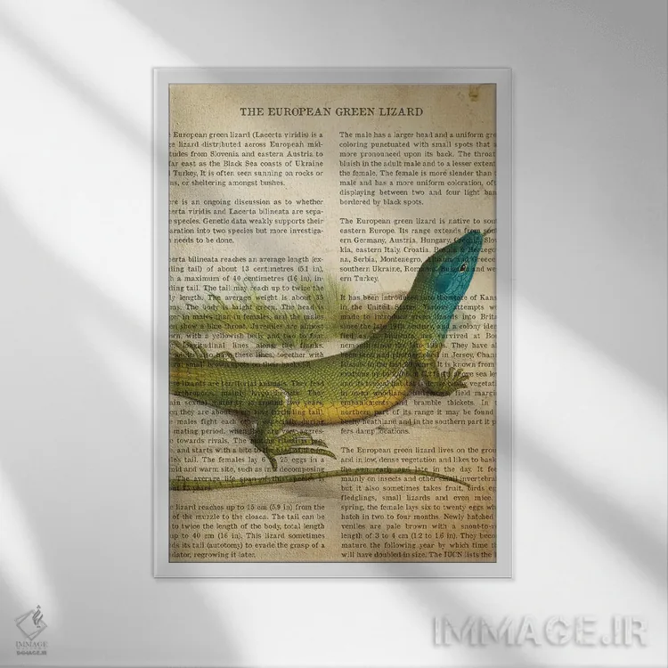 تابلو چاپ وینتیج مارمولک سبز اروپایی اثر پیکسل کهنه (استودیو/نام هنری) - نمای قابدار سفید