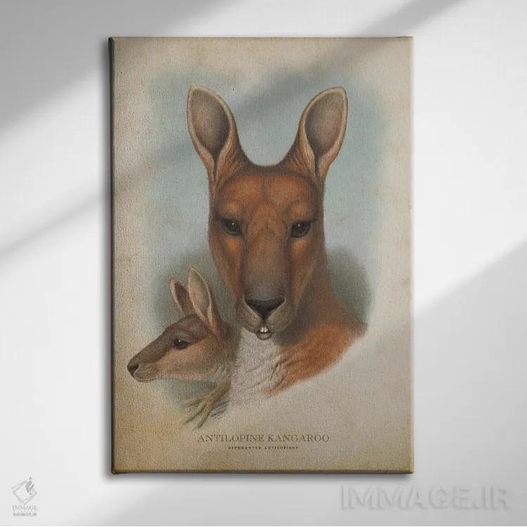 تابلو کانگوروی آنتیلوپ شکل (چاپ وینتیج) اثر پیکسل کهنه (استودیو/نام هنری) - نمای روبهرو روی دیوار