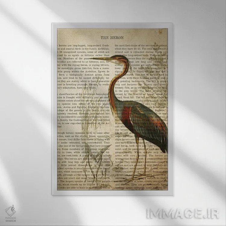 تابلو چاپ وینتیج حواصیل اثر پیکسل کهنه (استودیو/نام هنری) - نمای قابدار سفید