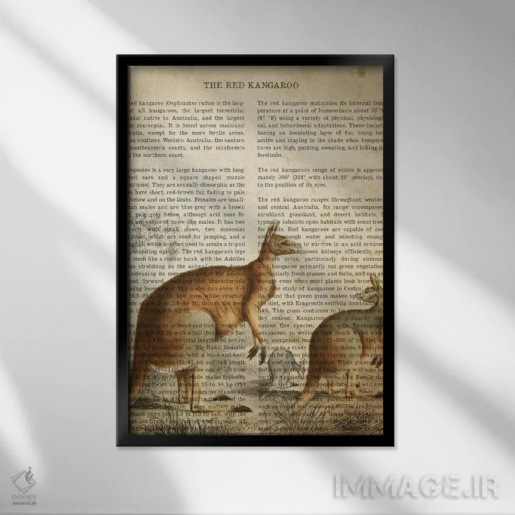 تابلو چاپ وینتیج کانگورو اثر پیکسل کهنه (استودیو/نام هنری) - نمای قابدار مشکی