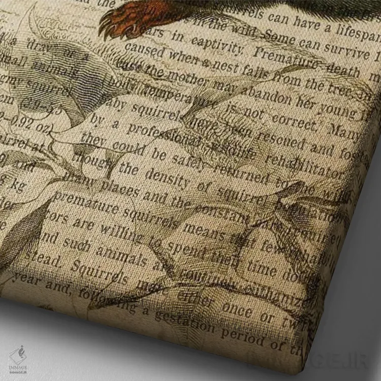 تابلو چاپ وینتیج سنجاب اثر پیکسل کهنه (استودیو/نام هنری) - نمای نزدیک بافت بوم