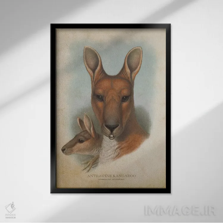 تابلو کانگوروی آنتیلوپ شکل (چاپ وینتیج) اثر پیکسل کهنه (استودیو/نام هنری) - نمای قابدار مشکی