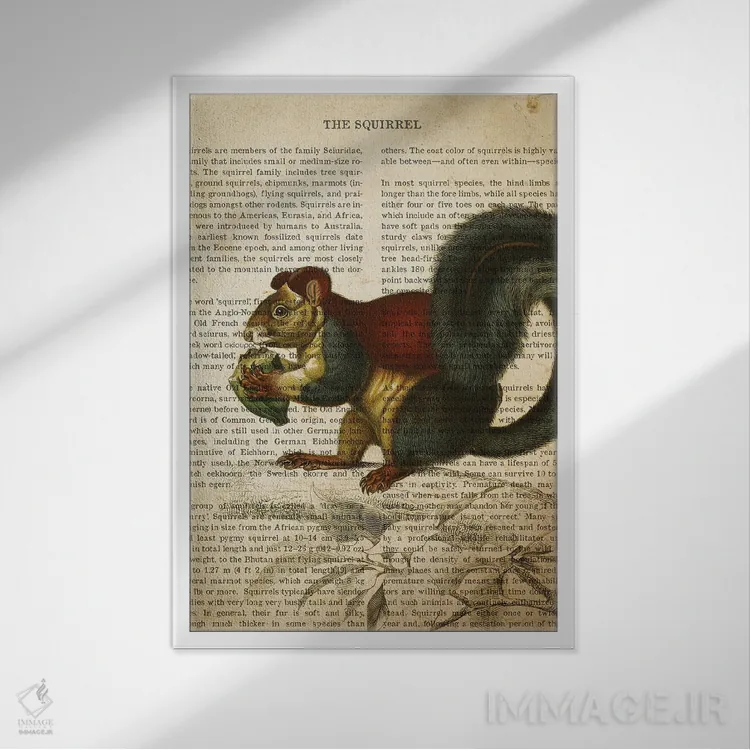 تابلو چاپ وینتیج سنجاب اثر پیکسل کهنه (استودیو/نام هنری) - نمای قابدار سفید