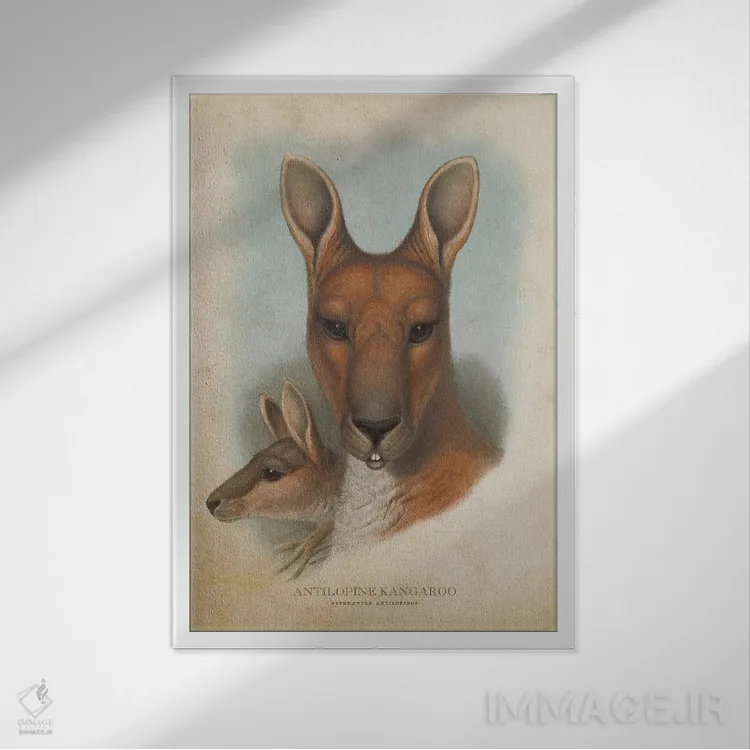 تابلو کانگوروی آنتیلوپ شکل (چاپ وینتیج) اثر پیکسل کهنه (استودیو/نام هنری) - نمای قابدار سفید