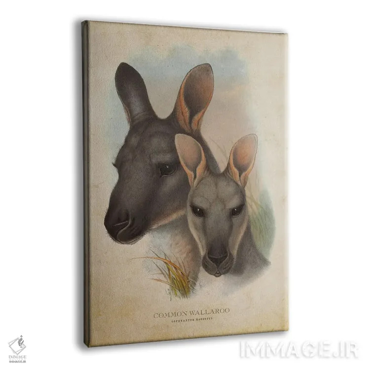 تابلو والاروی معمولی (چاپ وینتیج) اثر پیکسل کهنه (استودیو/نام هنری) - نمای پرسپکتیو محصول