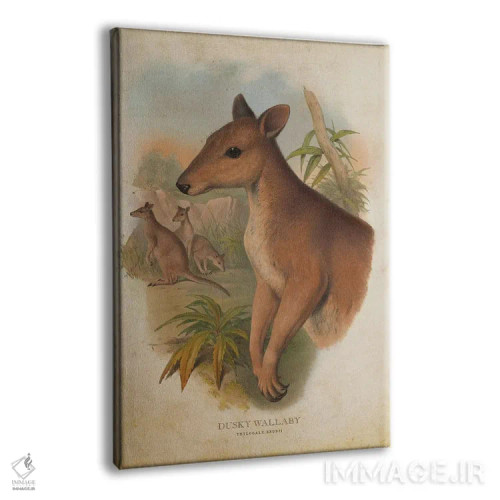 تابلو والابی دودیرنگ (چاپ وینتیج) اثر پیکسل کهنه (استودیو/نام هنری) - نمای پرسپکتیو محصول