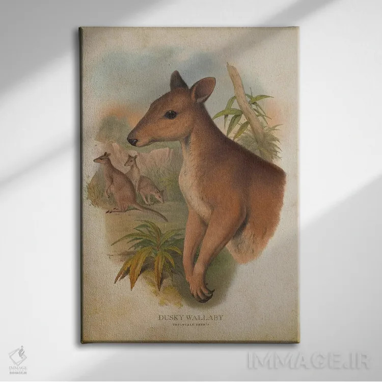 تابلو والابی دودیرنگ (چاپ وینتیج) اثر پیکسل کهنه (استودیو/نام هنری) - نمای روبهرو روی دیوار