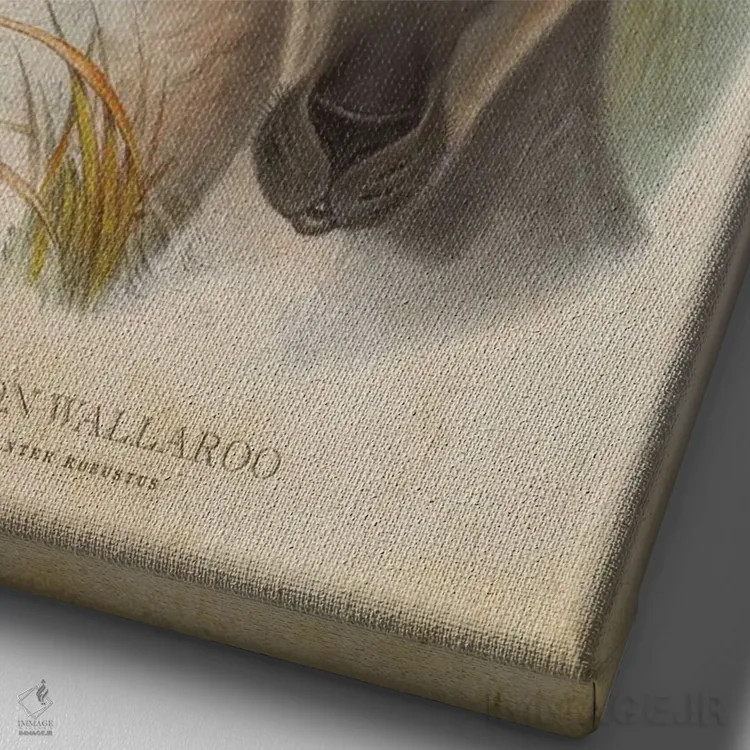 تابلو والاروی معمولی (چاپ وینتیج) اثر پیکسل کهنه (استودیو/نام هنری) - نمای نزدیک بافت بوم