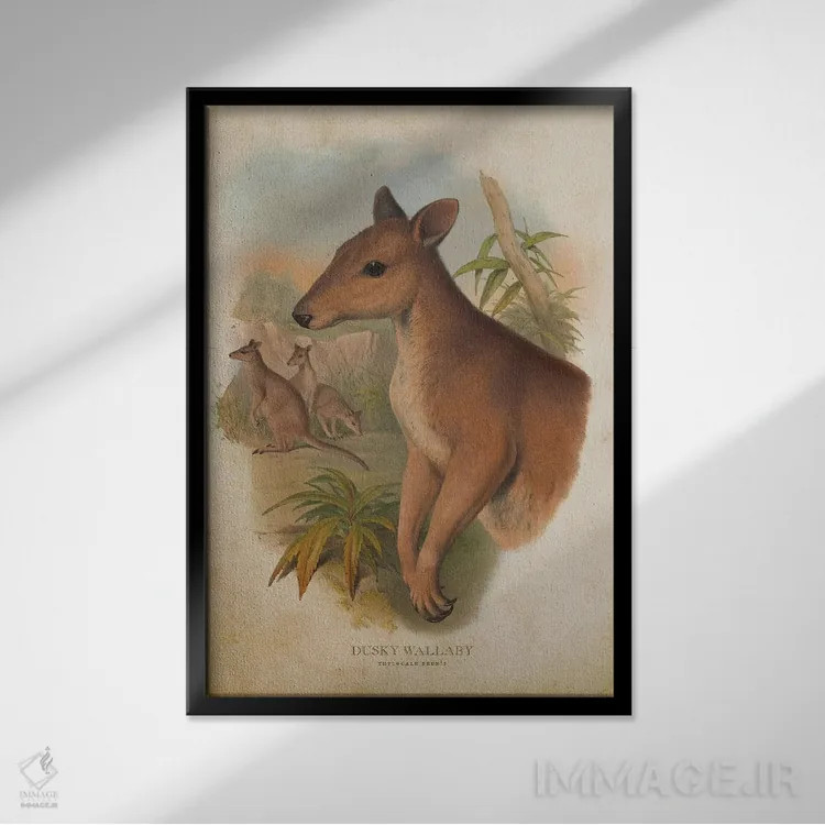 تابلو والابی دودیرنگ (چاپ وینتیج) اثر پیکسل کهنه (استودیو/نام هنری) - نمای قابدار مشکی