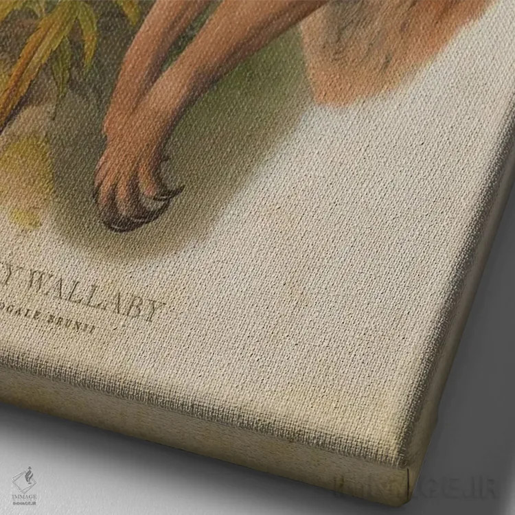 تابلو والابی دودیرنگ (چاپ وینتیج) اثر پیکسل کهنه (استودیو/نام هنری) - نمای نزدیک بافت بوم