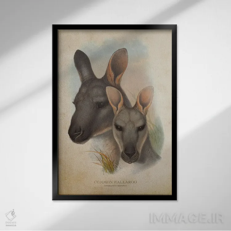 تابلو والاروی معمولی (چاپ وینتیج) اثر پیکسل کهنه (استودیو/نام هنری) - نمای قابدار مشکی