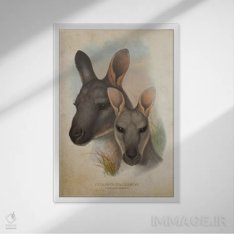 تابلو والاروی معمولی (چاپ وینتیج) اثر پیکسل کهنه (استودیو/نام هنری) - نمای قابدار سفید