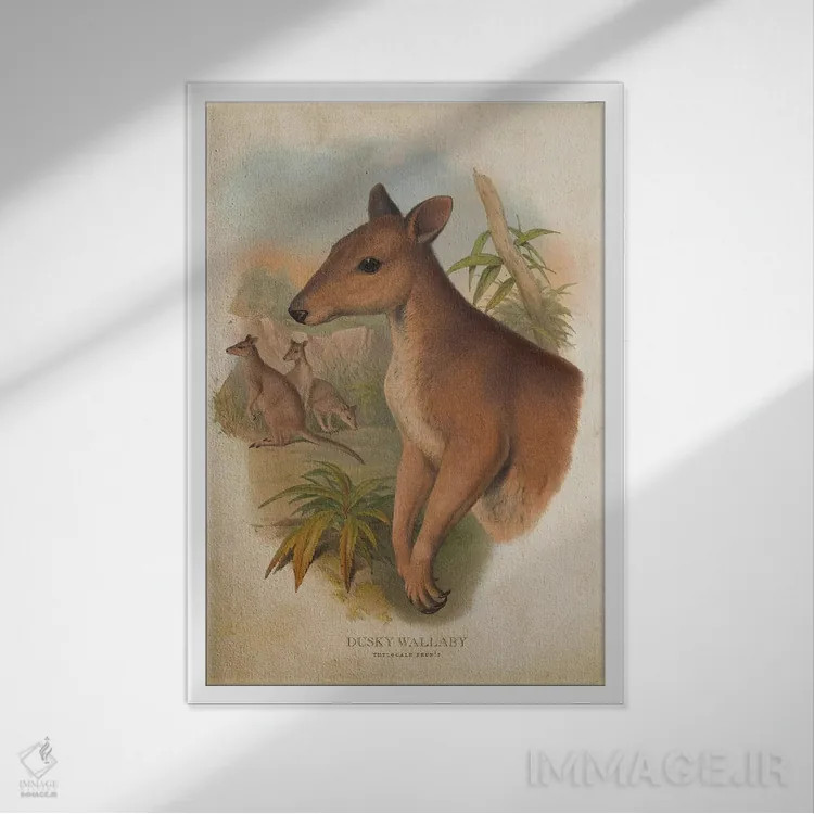 تابلو والابی دودیرنگ (چاپ وینتیج) اثر پیکسل کهنه (استودیو/نام هنری) - نمای قابدار سفید