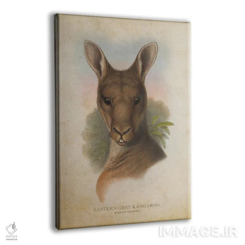 تابلو کانگوروی خاکستری شرقی (چاپ وینتیج) اثر پیکسل کهنه (استودیو/نام هنری) - نمای پرسپکتیو محصول