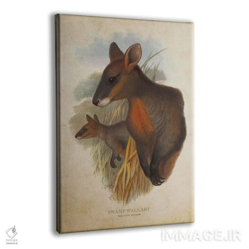 تابلو والابی مردابی (چاپ وینتیج) اثر پیکسل کهنه (استودیو/نام هنری) - نمای پرسپکتیو محصول