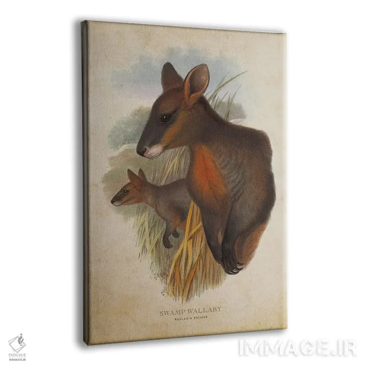 تابلو والابی مردابی (چاپ وینتیج) اثر پیکسل کهنه (استودیو/نام هنری) - نمای پرسپکتیو محصول