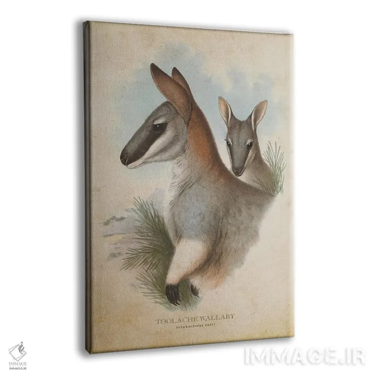 تابلو والابی تولاش (چاپ وینتیج) اثر پیکسل کهنه (استودیو/نام هنری) - نمای پرسپکتیو محصول